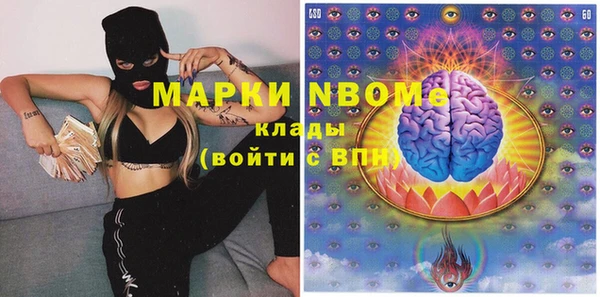 индика Бронницы
