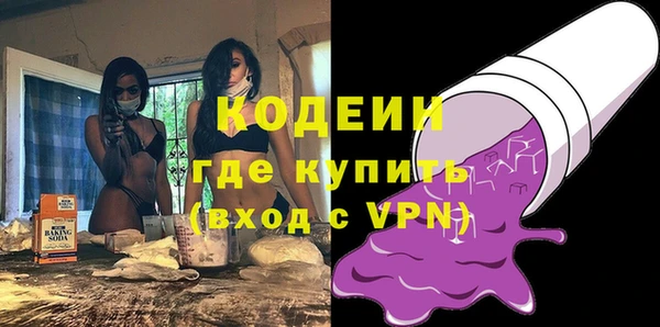 PSILOCYBIN Ельня