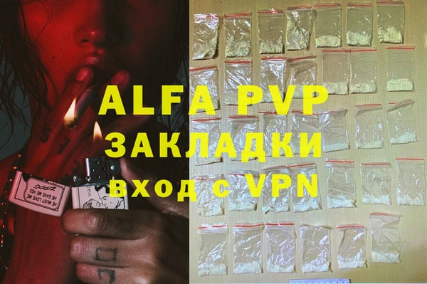 индика Бронницы
