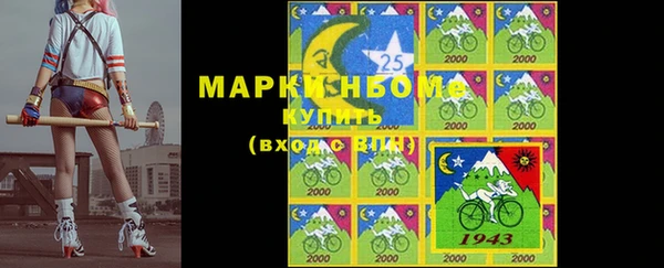 индика Бронницы