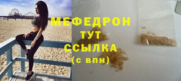 индика Бронницы