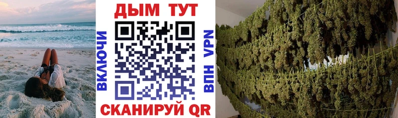 Шишки марихуана ГИДРОПОН  Короча 
